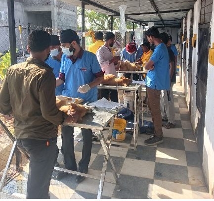Una colegiada de Barcelona promueve un voluntariado en la India para veterinarios interesados en protección animal