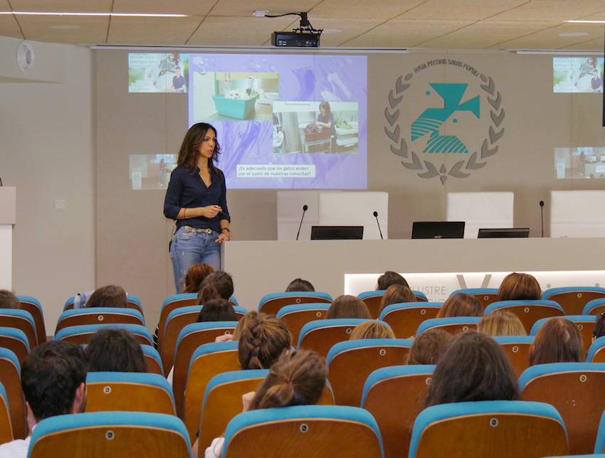 Jornada sobre Patologías Felinas impartida por María Luisa Palmero