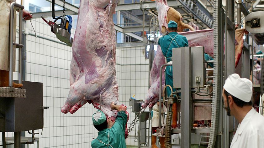Cerca de 650 veterinarios siguieron el seminario sobre el Real Decreto de Higiene Alimentaria y Flexibilidad
