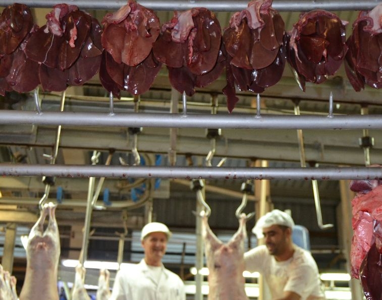 El Consejo Valenciano denuncia que no hay suficientes plazas de inspectores veterinarios de matadero 