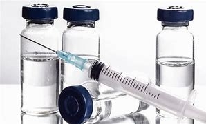 El grupo de trabajo técnico de la OCV sobre el medicamento veterinario retoma su actividad este mes de noviembre