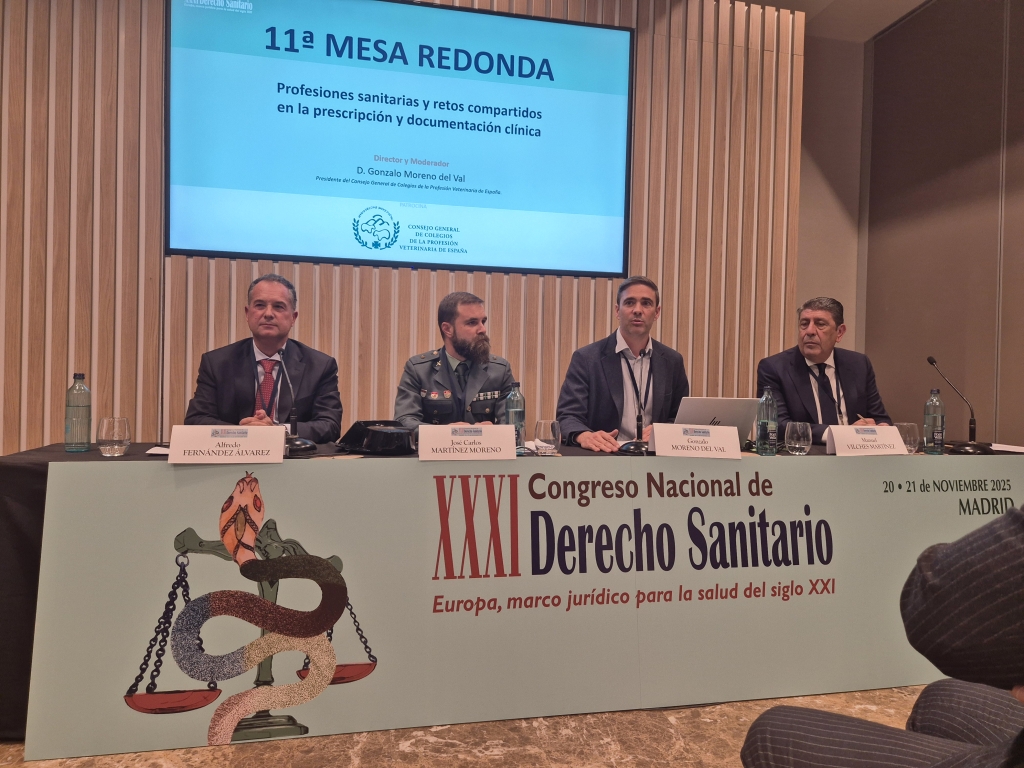 Una mesa redonda del XXXI Congreso de Derecho Sanitario abordó los retos en documentación y prescripción clínica