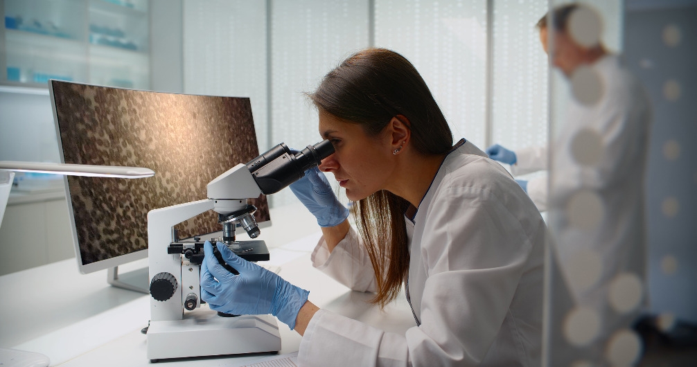 La profesi&oacute;n veterinaria reafirma su aportaci&oacute;n a la salud p&uacute;blica y seguridad alimentaria en un contexto de grandes retos sanitarios y sociales