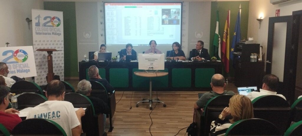 La asamblea del Colegio de Málaga aprueba las cuentas de 2024 y un presupuesto extraordinario para las movilizaciones contra el Real Decreto 666/2023