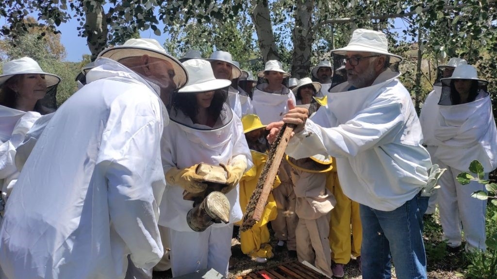 Los veterinarios de Málaga se familiarizan con el mundo de la apicultura en una visita a la localidad de Colmenar