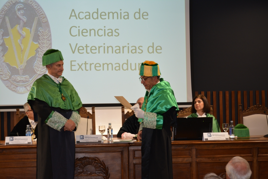 Sesión solemne de la Academia de Extremadura para reconocer los méritos del científico y catedrático José Alberto Montoya