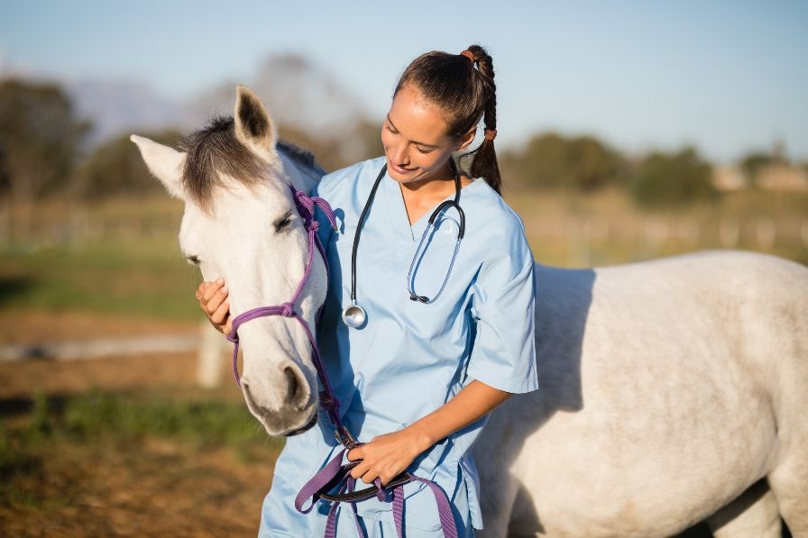 El aumento de mujeres colegiadas es una constante en el Colegio de Veterinarios de Toledo