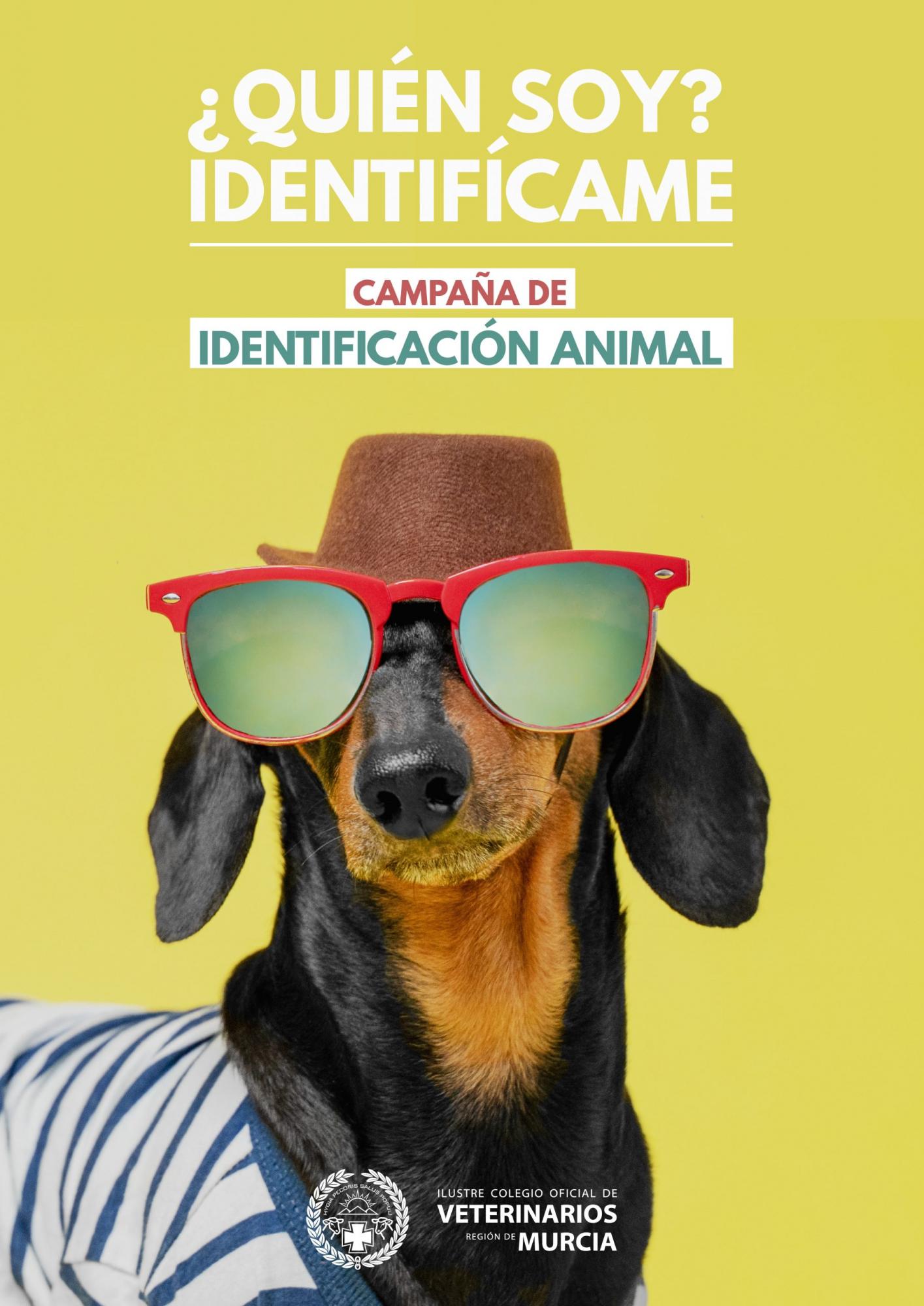 El Colegio de Murcia destaca la obligatoriedad de identificar perros, gatos y hurones a través de una campaña de comunicación