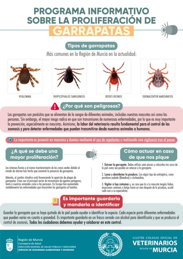 El Colegio de Veterinarios de Murcia informa a la población del riesgo derivado de la proliferación de garrapatas