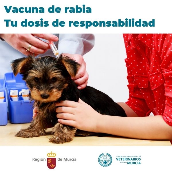 “Vacuna de rabia. Tu dosis de responsabilidad”, lema de una campaña del Colegio de Veterinarios de Murcia y el Gobierno de la Región