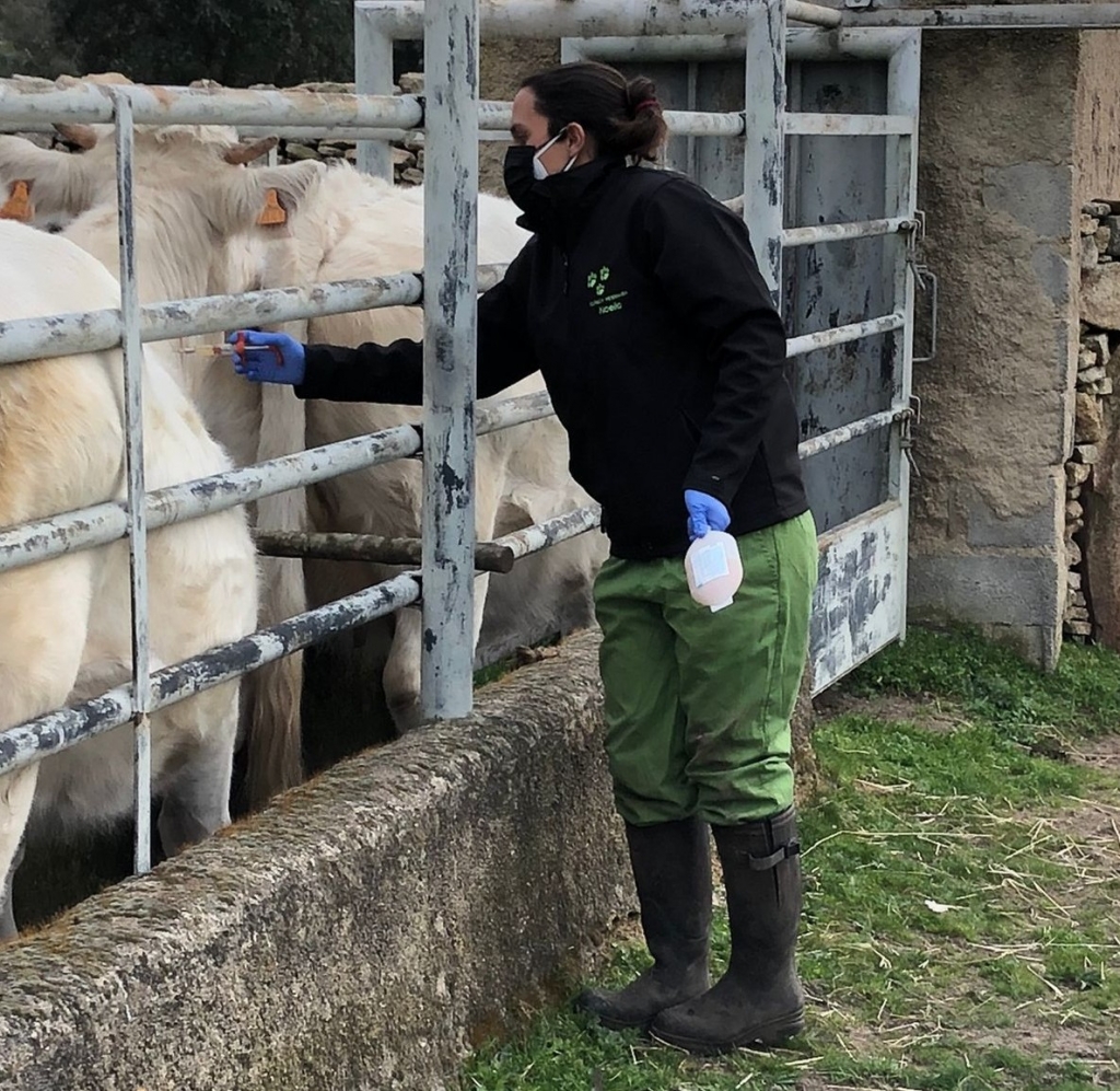 Las veterinarias rurales son un pilar esencial de la salud, la sostenibilidad y el bienestar en el campo de Toledo