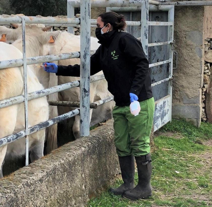 Las mujeres suponen el 70% de los veterinarios colegiados menores de 35 años y el 51% del total en España