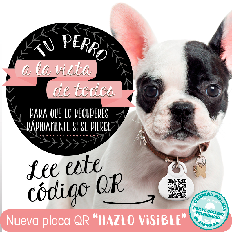 El Colegio de Zaragoza lanza la campaña “Hazlo visible” para ayudar a recuperar perros perdidos
