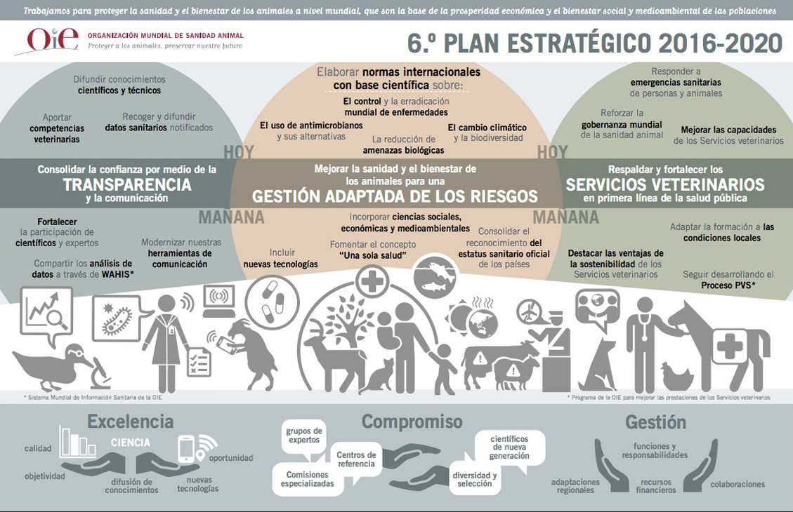 Sexto Plan Estratégico 2016-2020