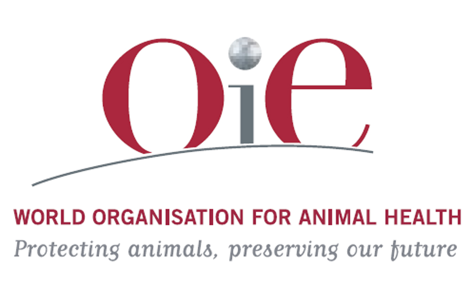 La OIE presenta su estrategia contra la resistencia a los antimicrobianos
