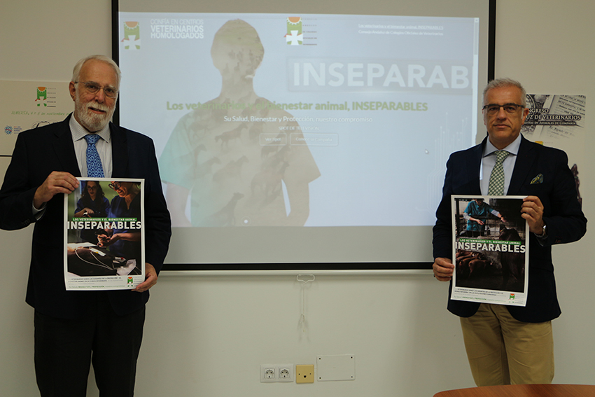 El Consejo Andaluz presenta la campaña “Los veterinarios y el Bienestar Animal, inseparables”