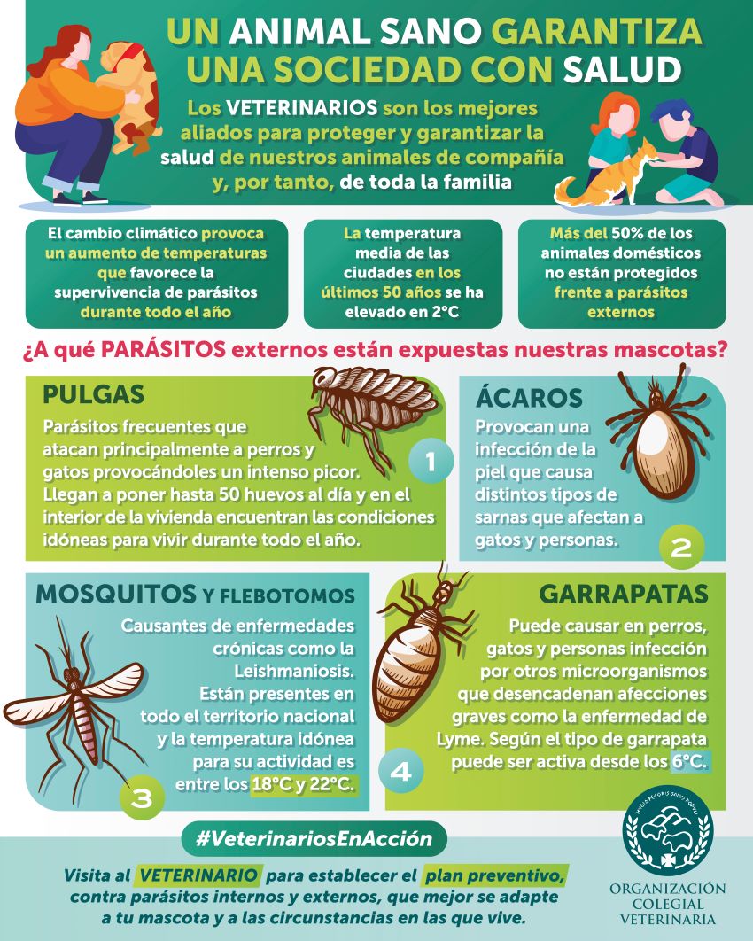 La OCV destaca la importancia de prevenir y proteger a los animales domésticos frente a parásitos externos  durante todo el año