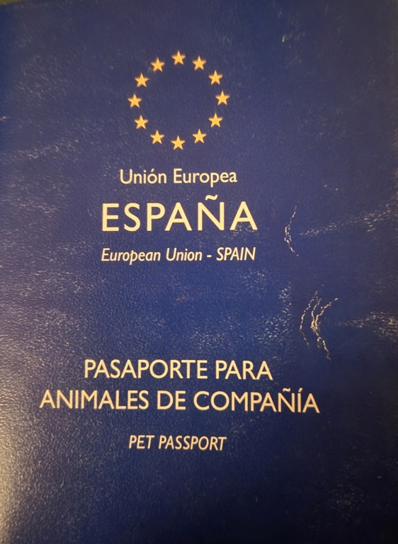 Pasaporte, microchip y vacuna contra la rabia: los veterinarios advierten de los requisitos para viajar con animales de compa&ntilde;&iacute;a
