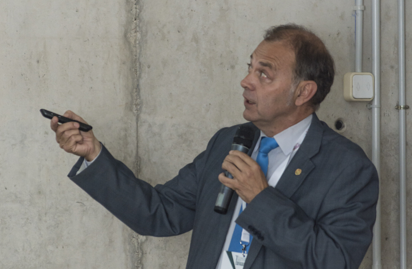 Pedro Luis Lorenzo González -  La docencia veterinaria y su problemática actual