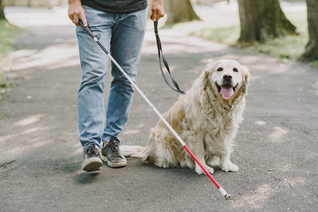 Suscrito el convenio para la gestión del Registro de Perros de Asistencia entre la Consejería de Inclusión Social y el Consejo Andaluz de Veterinarios