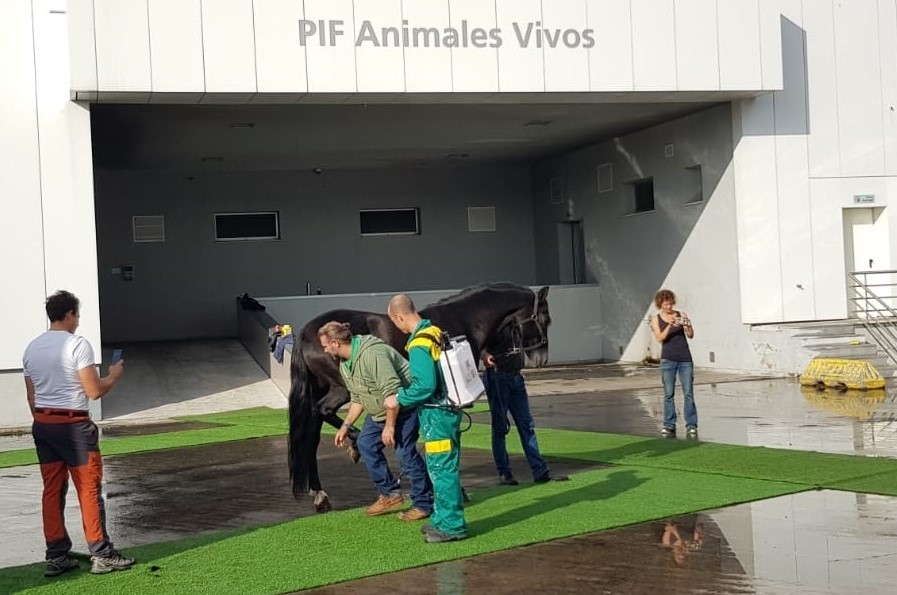 El Colegio de Valladolid programó un seminario sobre la oferta de empleo veterinario en las Administraciones públicas