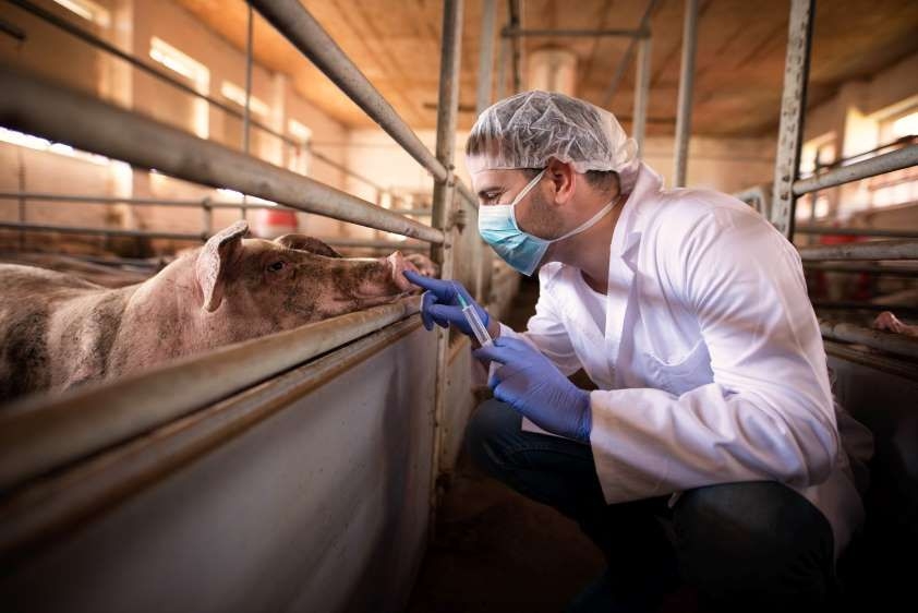 La OCV destaca el trabajo de los veterinarios “para proteger de cualquier amenaza que debilite la salud pública”