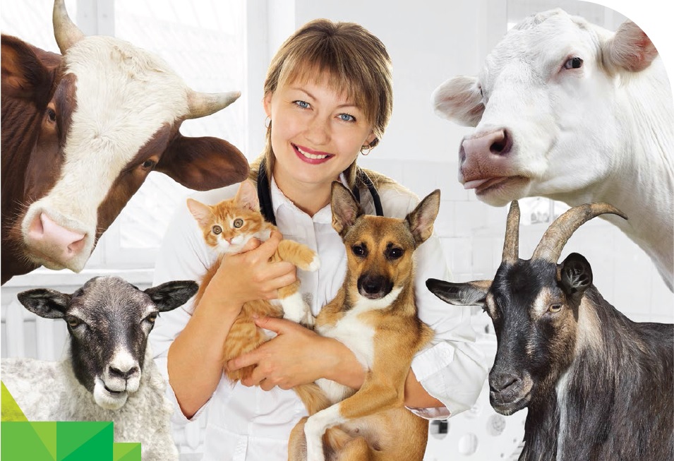 WebSeminar sobre bienestar animal