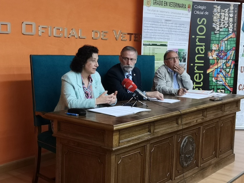 El Consejo de Colegios Veterinarios de Castilla y León, la Facultad de Veterinaria leonesa y el Sindicato Veterinario castellanoleonés  se unen para crear el primer Foro autonómico de la profesión veterinaria en España 
