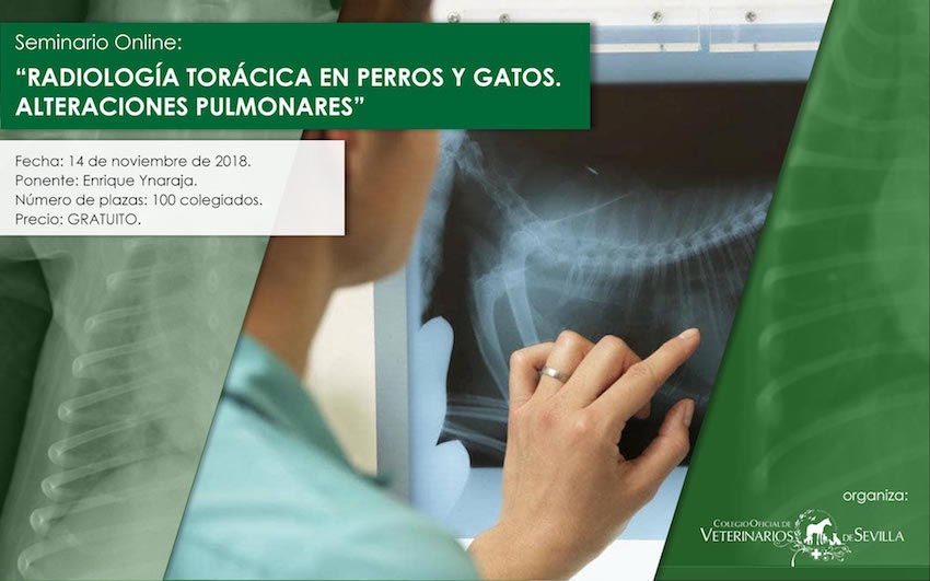Seminario online “Radiología torácica en perros y gatos. Alteraciones Pulmonares”