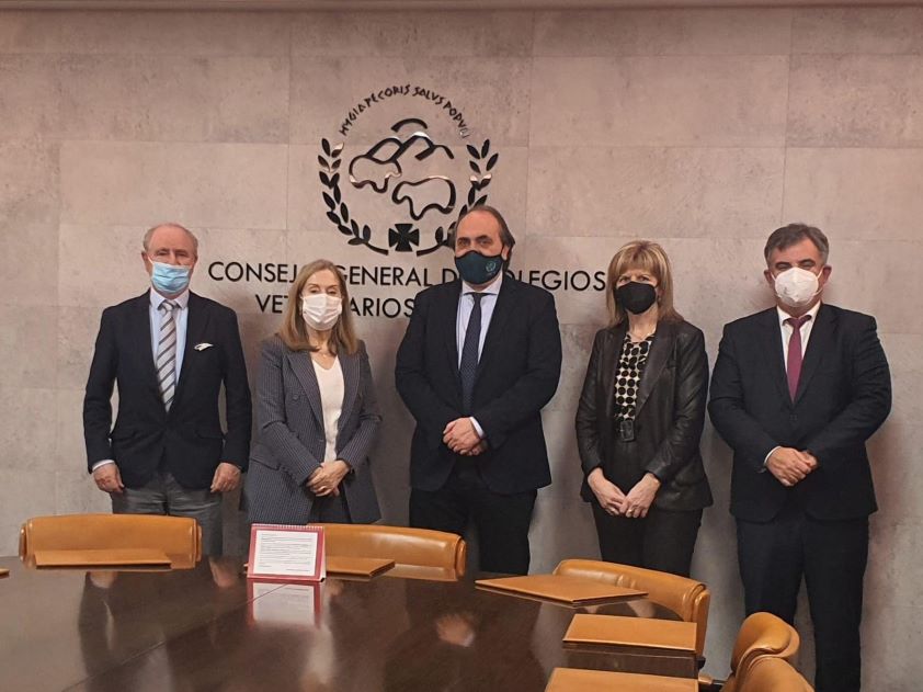 El PP reconoce el trabajo eficaz de los veterinarios en sanidad y bienestar animal, seguridad alimentaria y salud pública