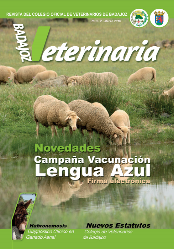 Publicado el número 2 de la revista colegial pacense