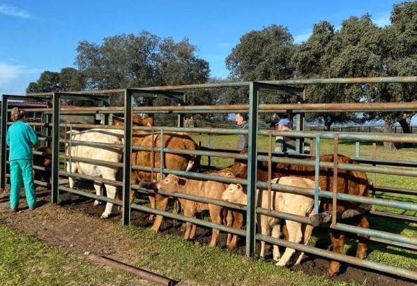 El Colegio de Veterinarios de Lugo considera &ldquo;una falta de respeto&rdquo; las declaraciones del presidente de farmac&eacute;uticos espa&ntilde;oles