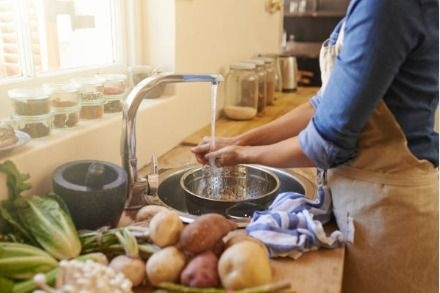 Veterinarios de Valladolid piden extremar las medidas de higiene en los hogares para evitar intoxicaciones alimentarias en verano