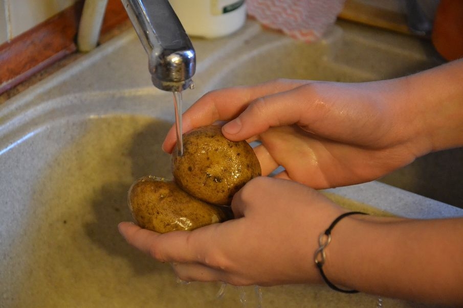 Los veterinarios de Toledo piden extremar el control de los alimentos en verano para evitar intoxicaciones 