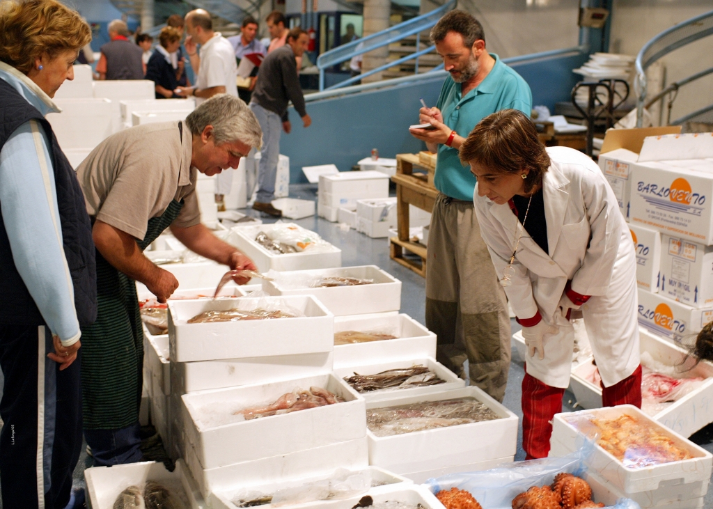 El Colegio de Veterinarios de Valladolid destaca el compromiso de la profesión para garantizar la seguridad alimentaria 