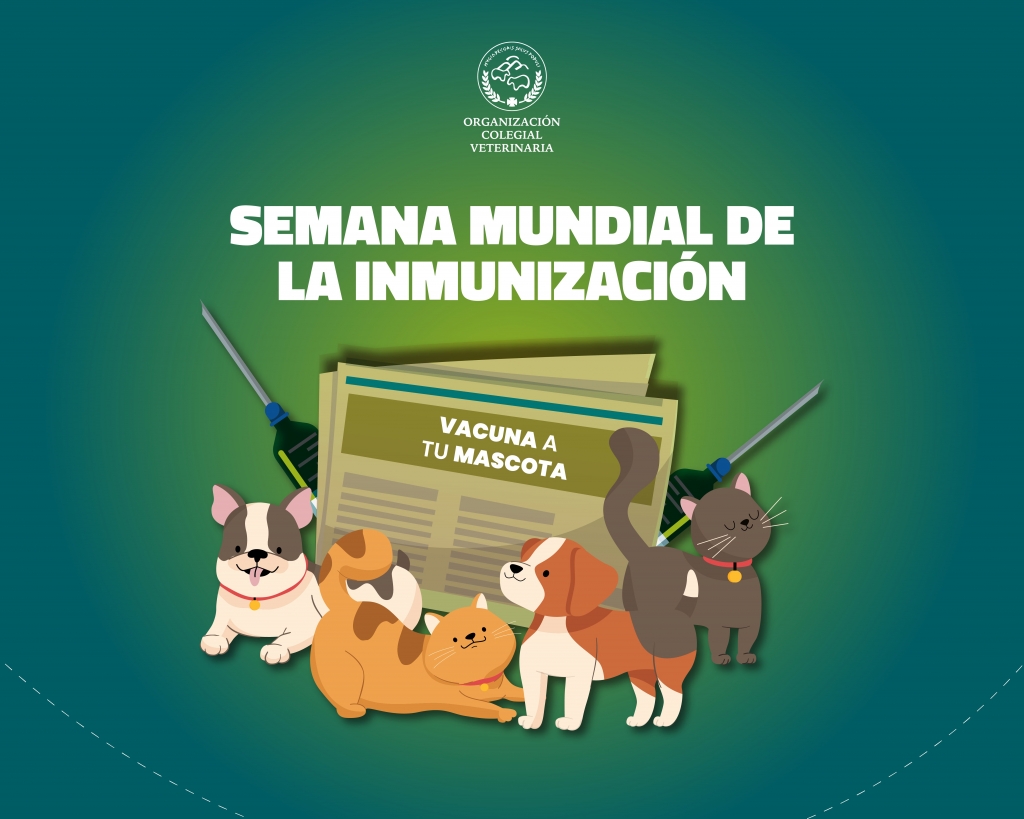 La inmunización de los animales reduce la resistencia a los antibióticos y la transmisión de enfermedades infecciosas