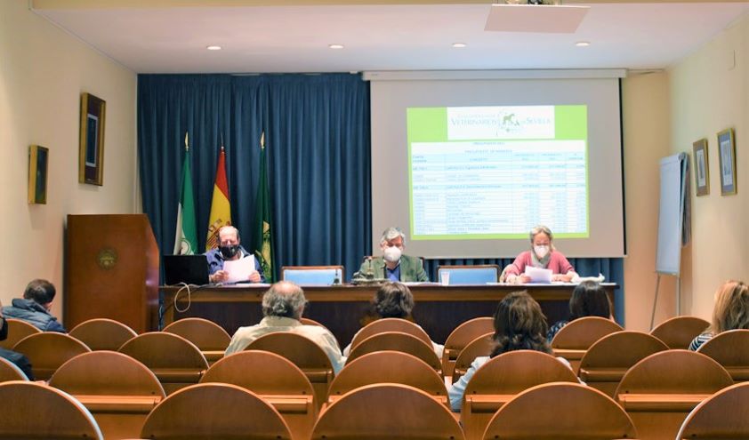 La asamblea general del Colegio de Sevilla aprueba los presupuestos del 2021