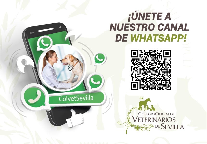 El Colegio de Veterinarios de Sevilla estrena canal de WhatsApp para difundir contenidos de actualidad e interés