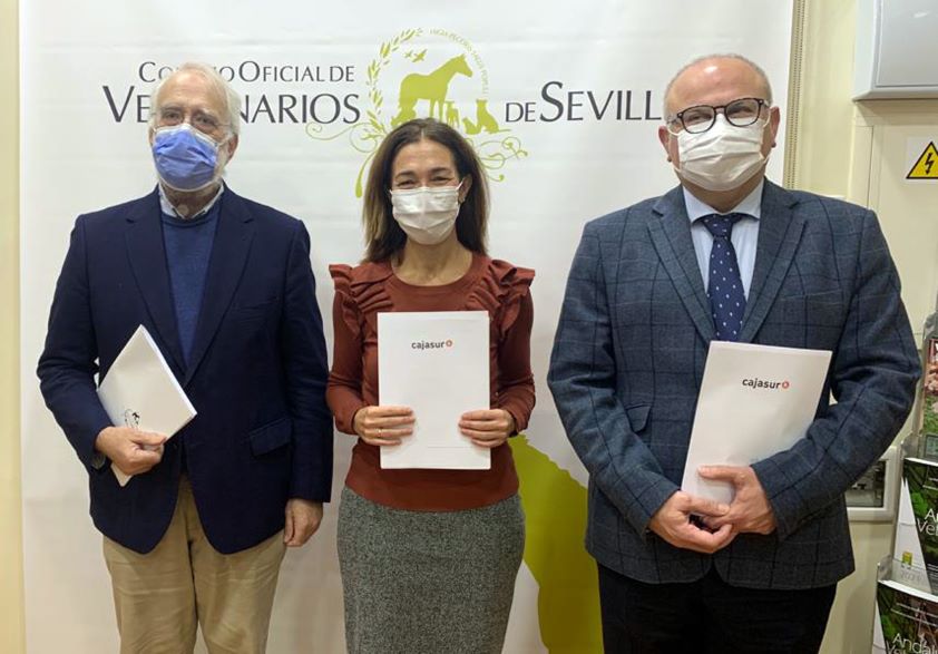 Cajasur y el Colegio de Sevilla firman un convenio de colaboración con beneficios para profesionales colegiados