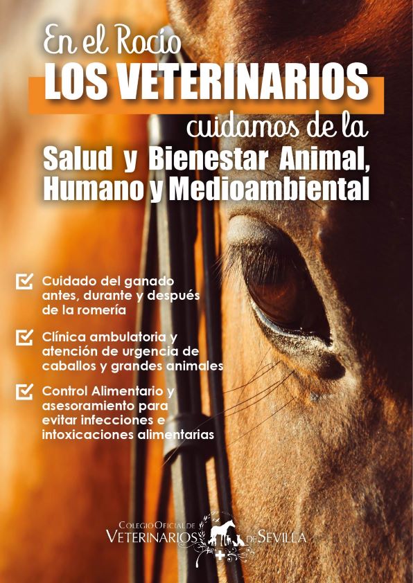 Una campaña del Colegio de Sevilla incide en el bienestar animal y la seguridad alimentaria en El Rocío