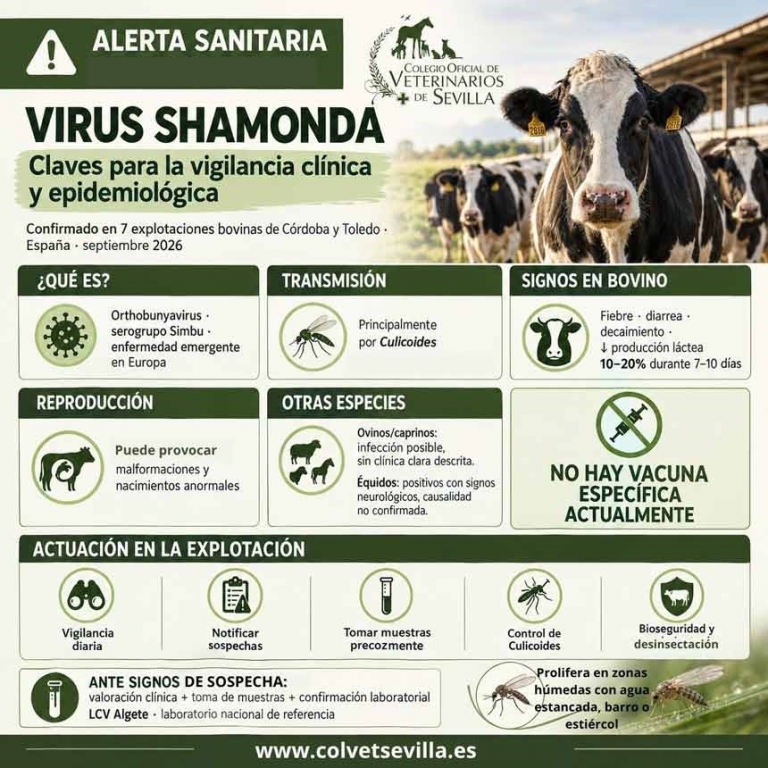 El Colegio Sevilla recomienda extremar la vigilancia y la prevenci&oacute;n ante la detecci&oacute;n de focos del Virus de Shamonda en Andaluc&iacute;a