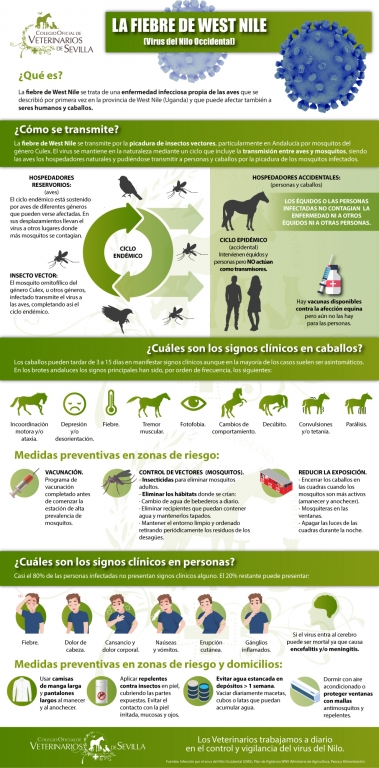 Vacunación en caballos y control de mosquitos vectores, principales medidas de prevención frente a la Fiebre del Nilo Occidental