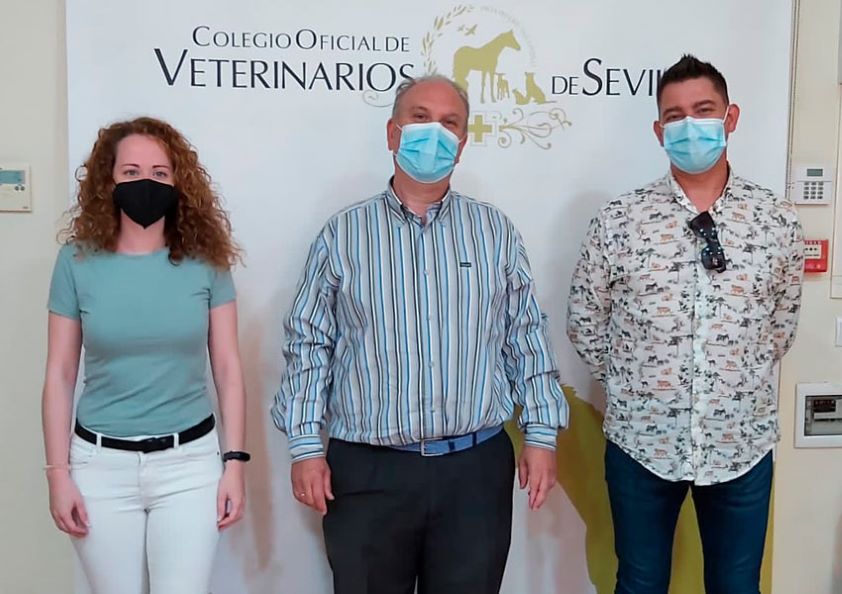 El Ayuntamiento de Castilblanco de los Arroyos se interesa por el protocolo de colonias felinas del Colegio de Sevilla