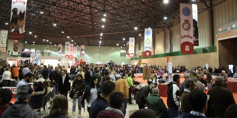 El Colegio de Almería becará la asistencia de 15 colegiados al II Simposio SURMascotas
