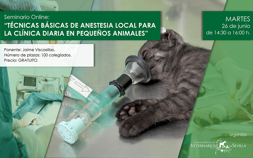 LXIV Seminario online “Técnicas básicas de anestesia local para la clínica diaria en pequeños animales”