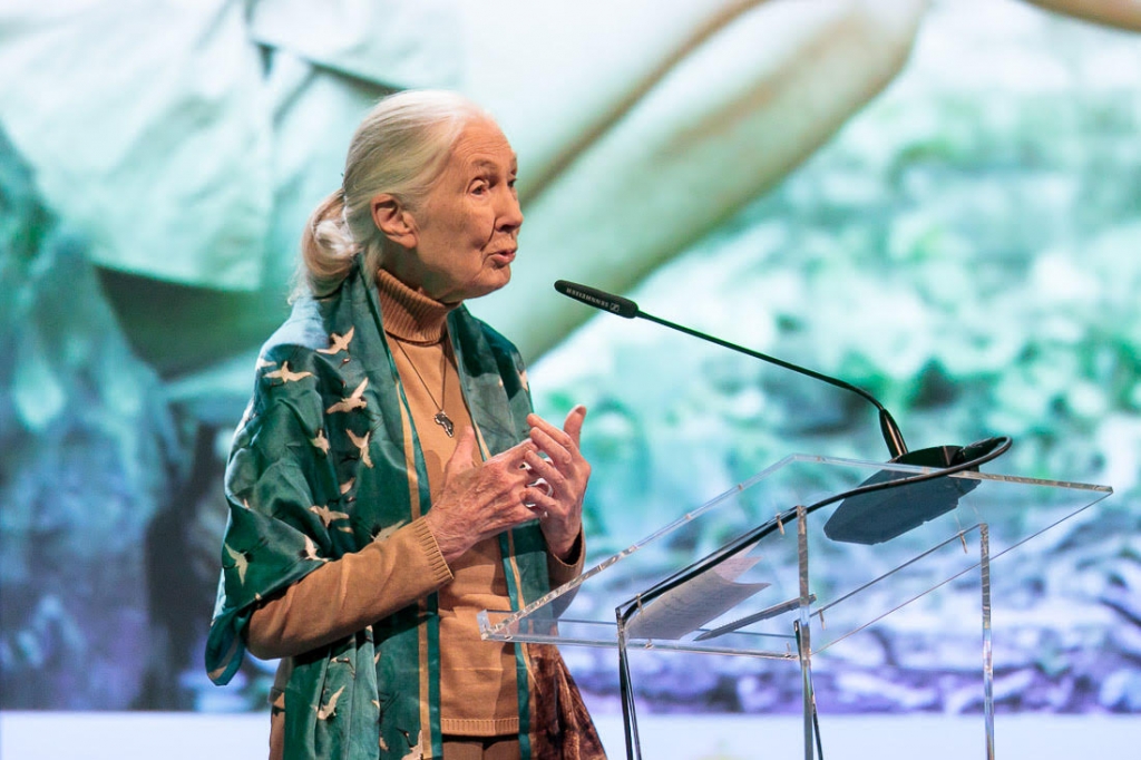 La doctora Jane Goodall asegura en Tenerife que “hay razones para la esperanza”