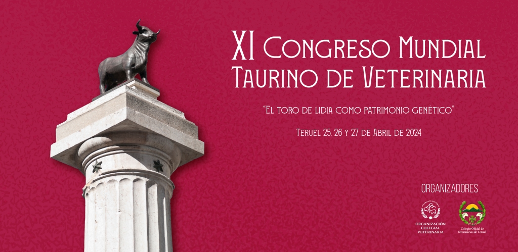 Teruel acogerá el XI Congreso Mundial Taurino de Veterinaria el próximo mes de abril