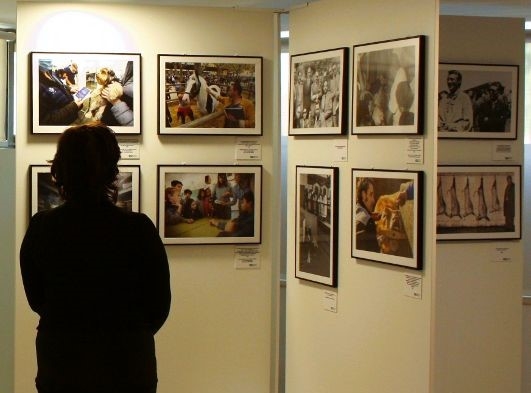 El Colegio de Toledo exhibe la muestra fotográfica sobre la evolución de la veterinaria durante el último siglo 