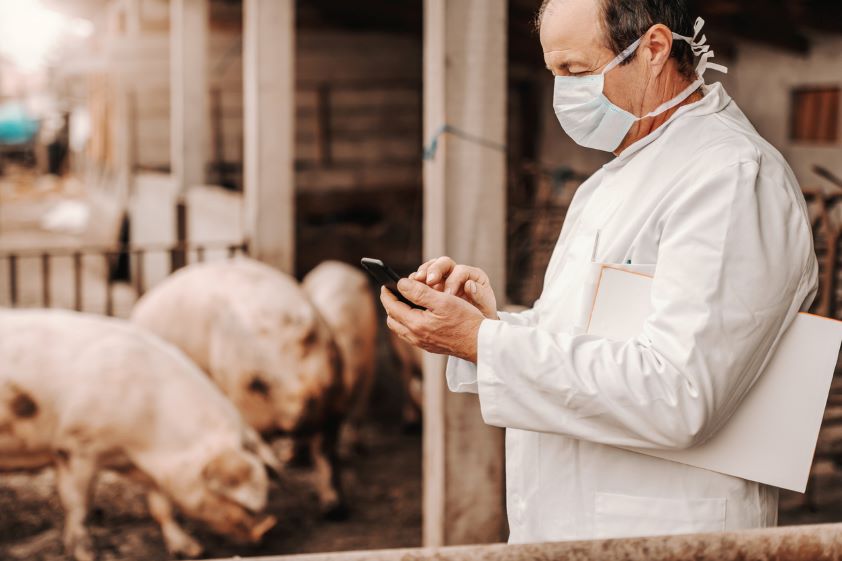 Los veterinarios de Castilla-La Mancha garantizan el bienestar de los más de 7,5 millones de animales de producción de la región