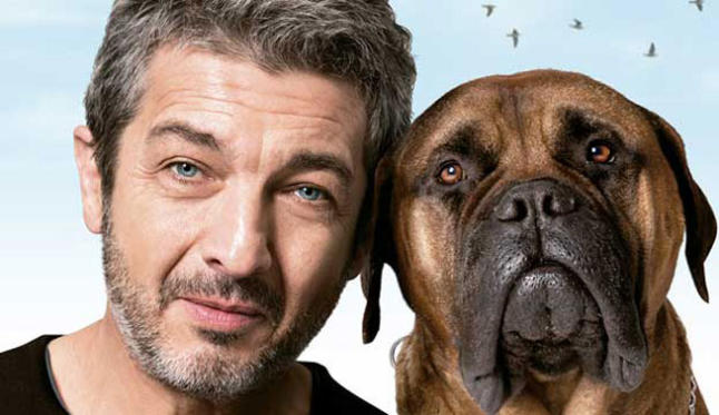 Premios Bienestar Animal 2015: 'Truman', el perro de terapias 'Tango' y  Renfe Cercanías